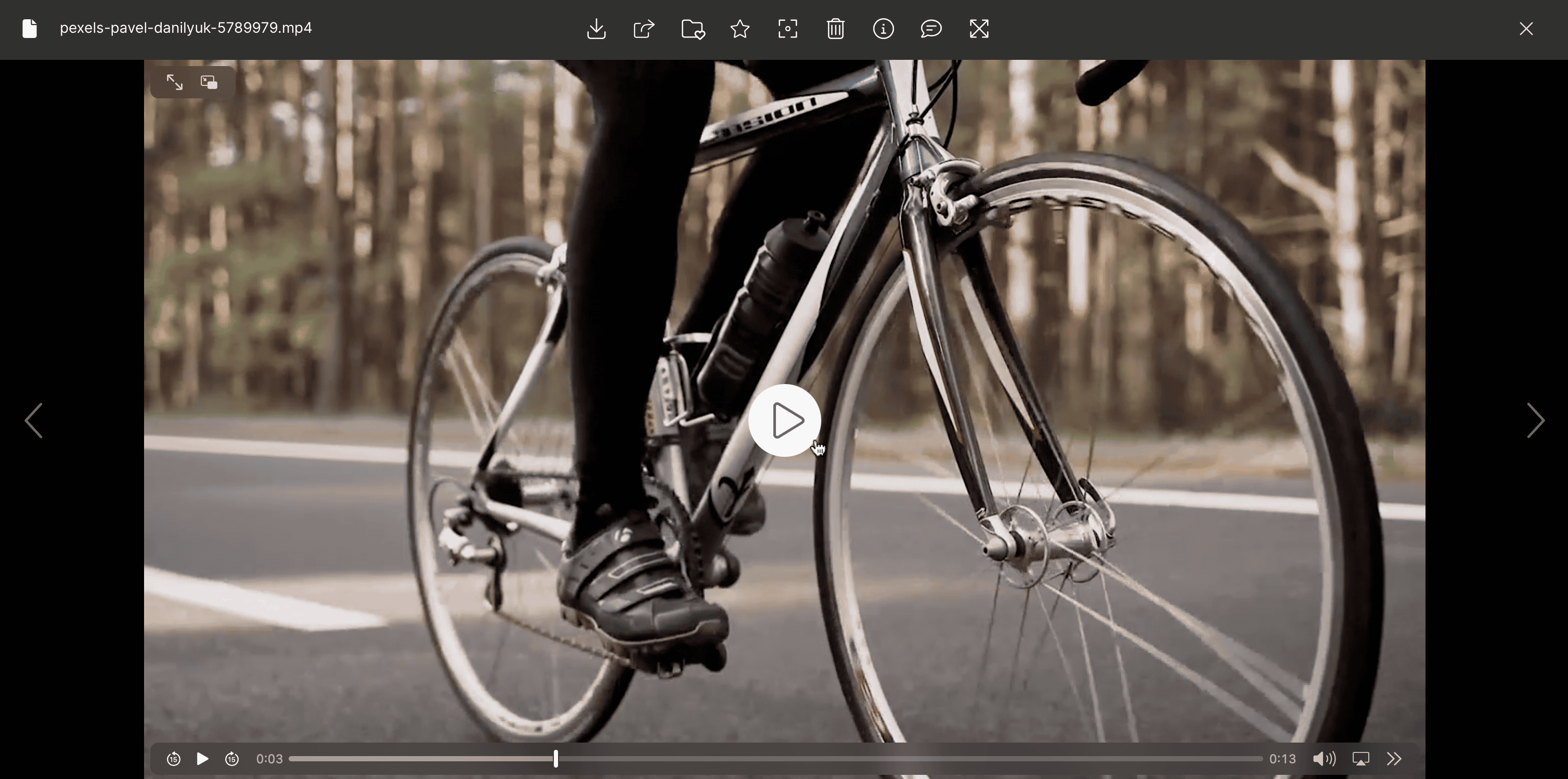 Preview Video in Kontainer