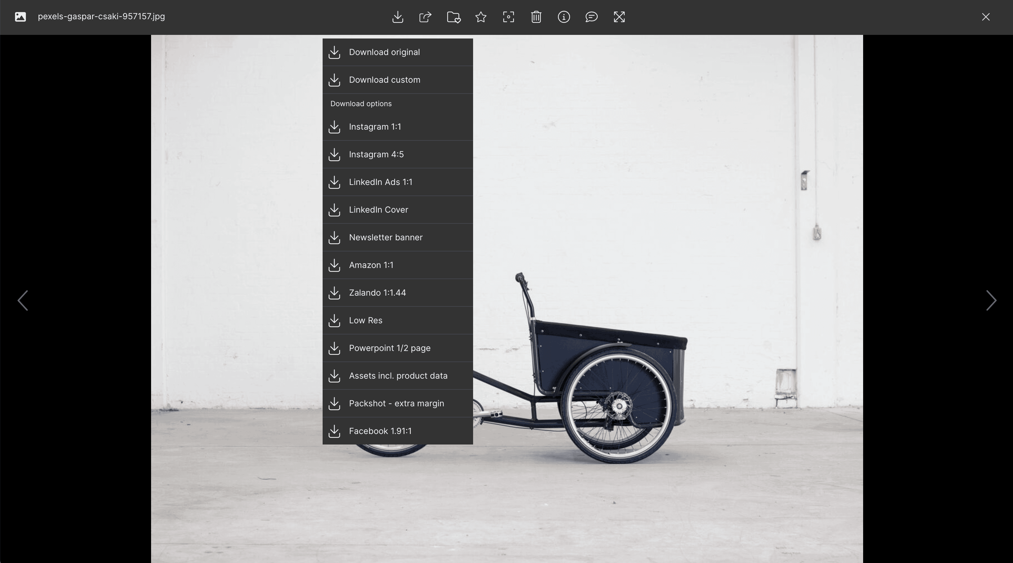 Download-Optionen in Kontainer