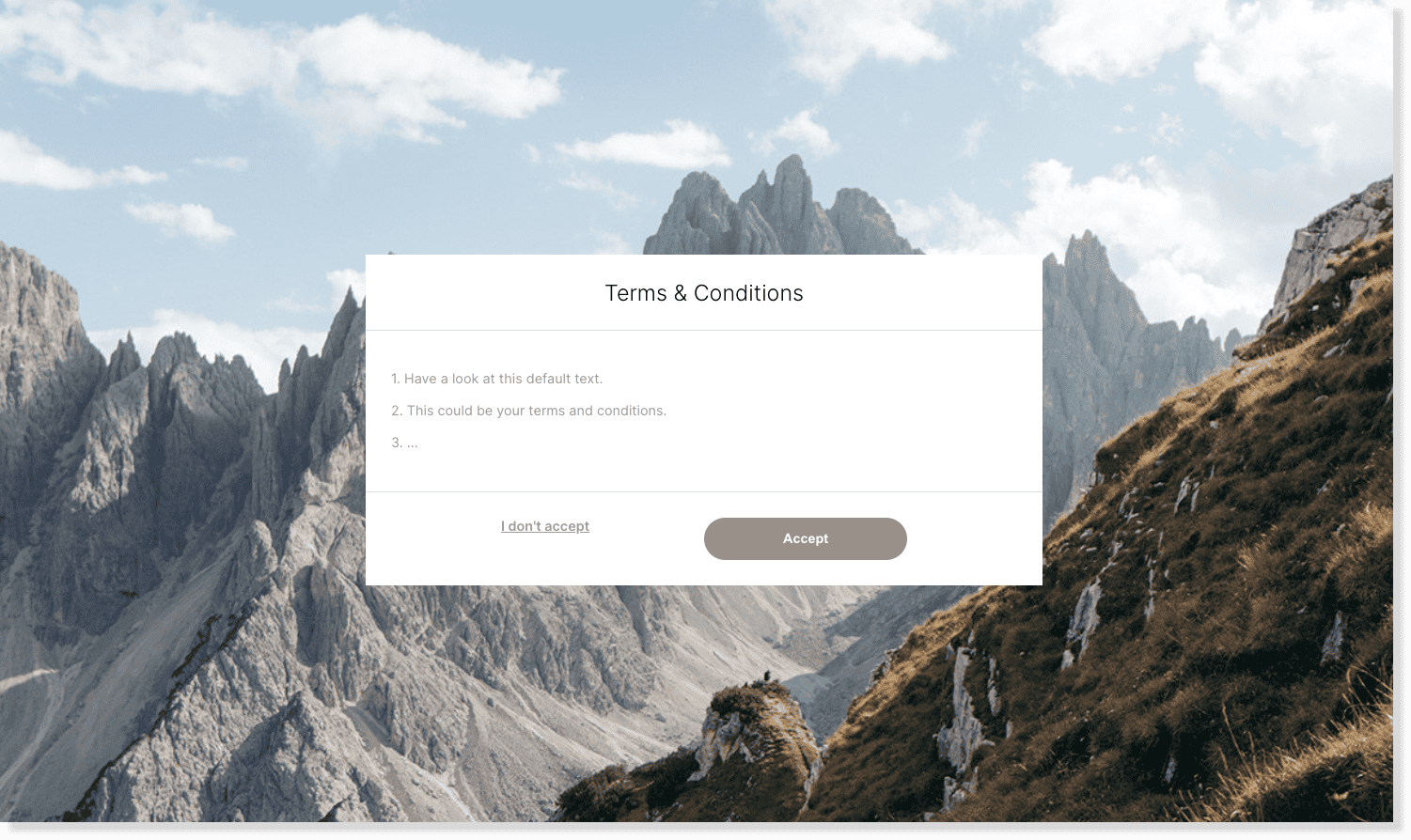 terms and conditions image 2