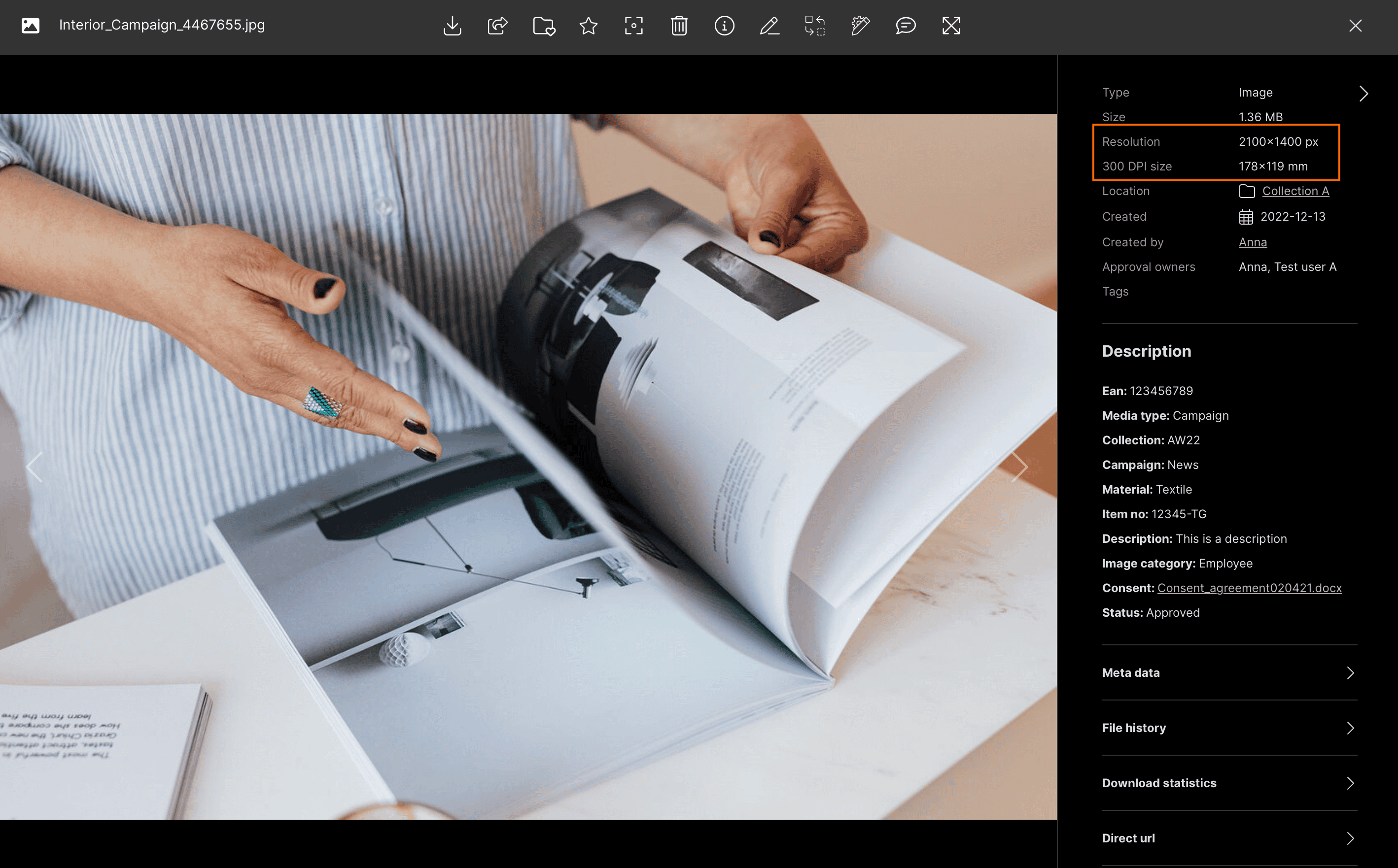 Image open in Kontainer's gallery mode. Orange box highlighting the section that shows image resolution and conversion size to 300 DPI