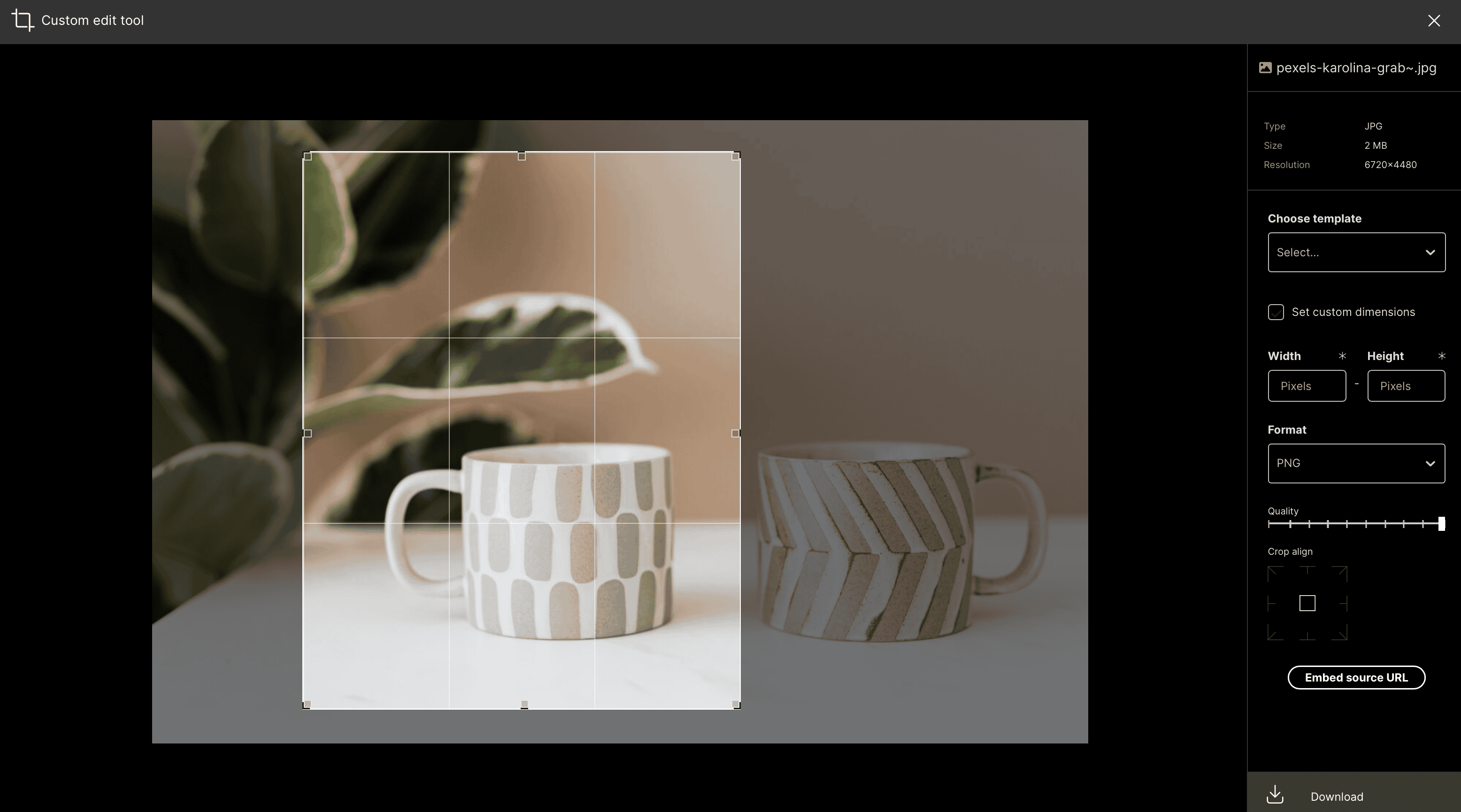 Kontainer formatting studio shows a crop of an image and an editing menu bar on the right.