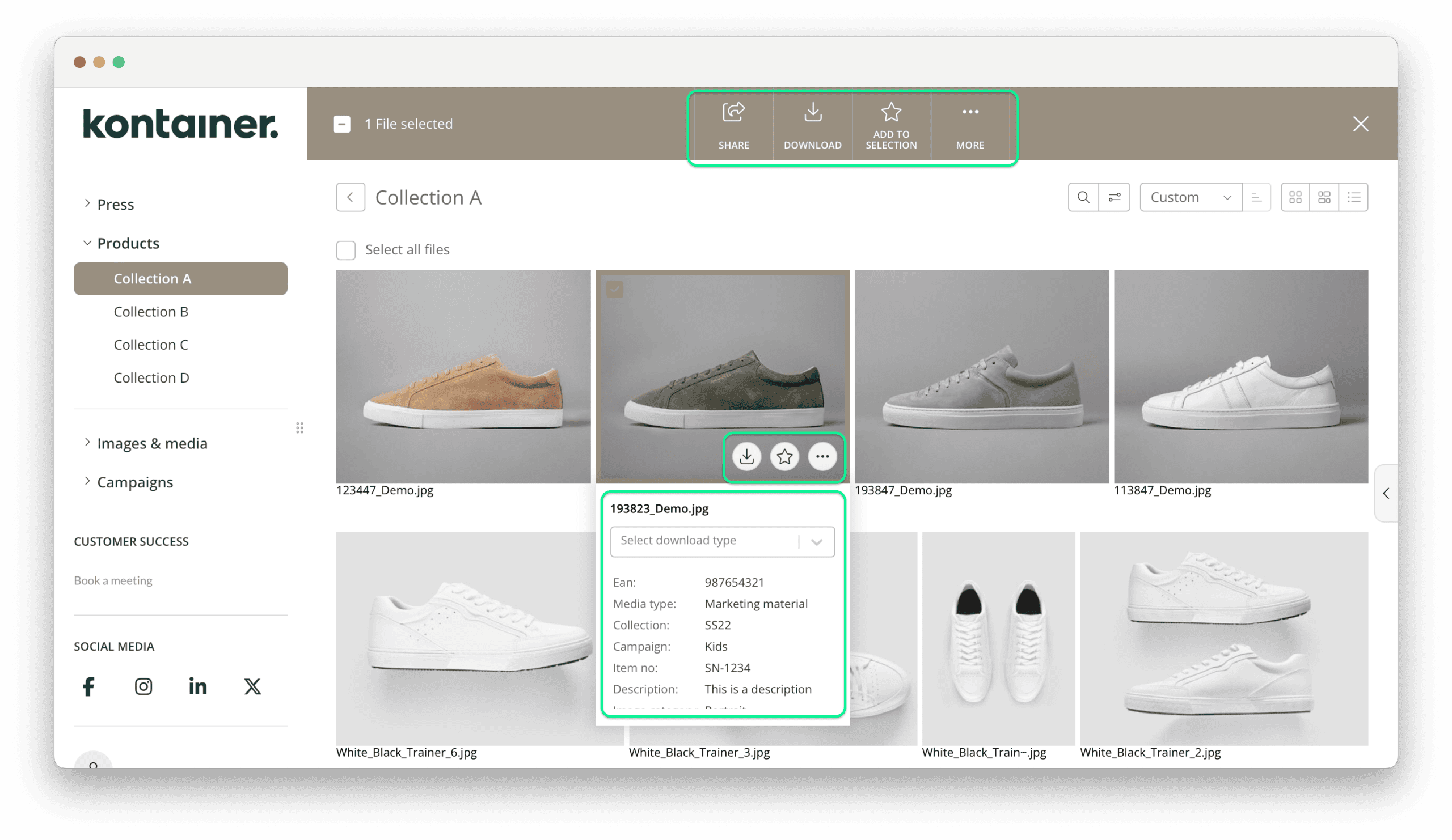 File viewing options from grid view in Kontainer DAM